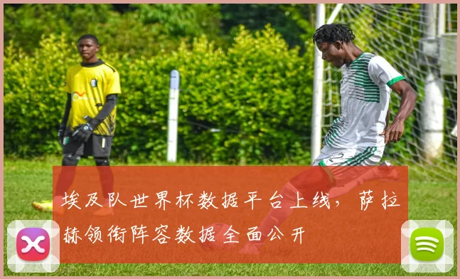 埃及队世界杯数据平台上线，萨拉赫领衔阵容数据全面公开