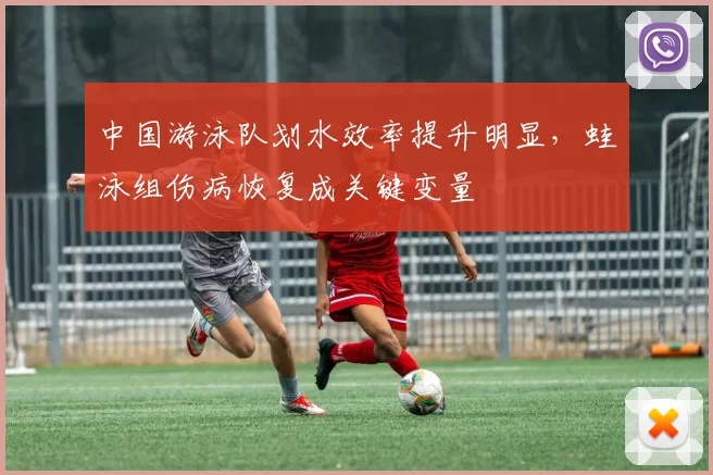 中国游泳队划水效率提升明显，蛙泳组伤病恢复成关键变量