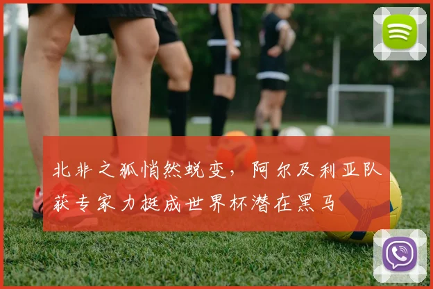 北非之狐悄然蜕变，阿尔及利亚队获专家力挺成世界杯潜在黑马